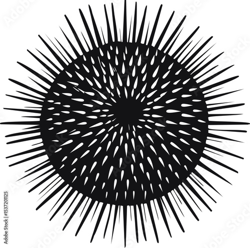 Sea Urchin Silhouette – Marine Invertebrate Vector Illustration with Spines
