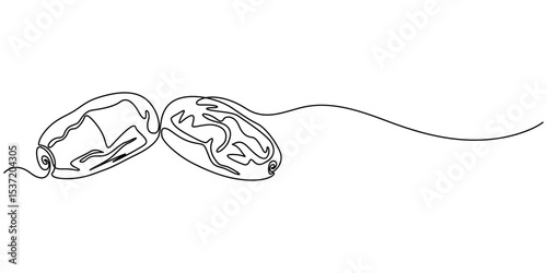 Dates fruit continuous line. Continuous one line drawing of sweet dates. Tropical arabic fruit concept. single line drawing, Continuous one line drawing of dates palm fruit. Vector illustration