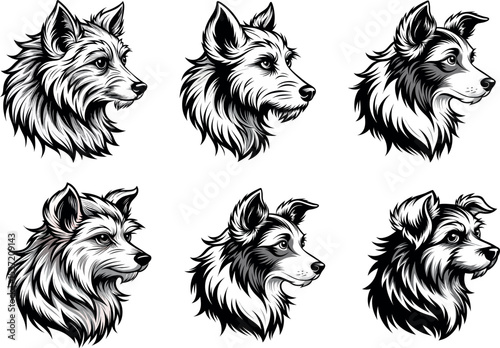 "Loyal Companion: A Vector Tribute to Dogs"
