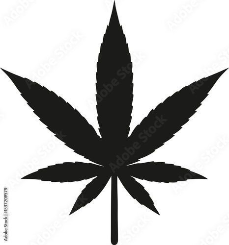 cannabis leaf vector illustration