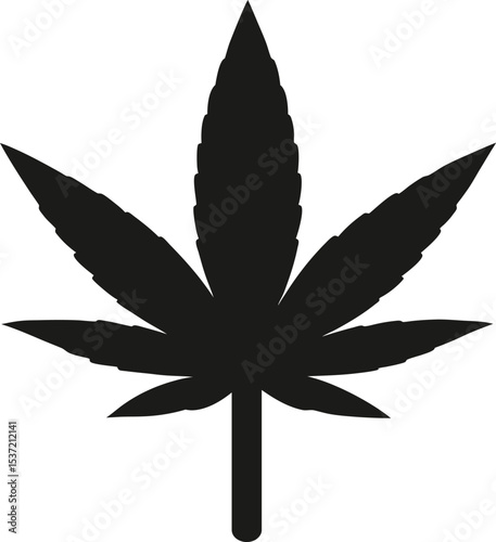cannabis leaf vector illustration