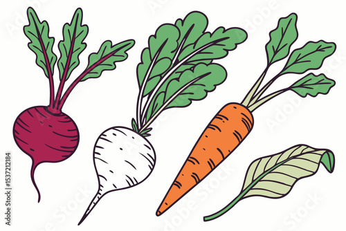 Root Vegetables Flat Vector Pack
