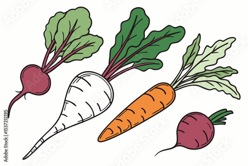 Root Vegetables Flat Vector Pack
