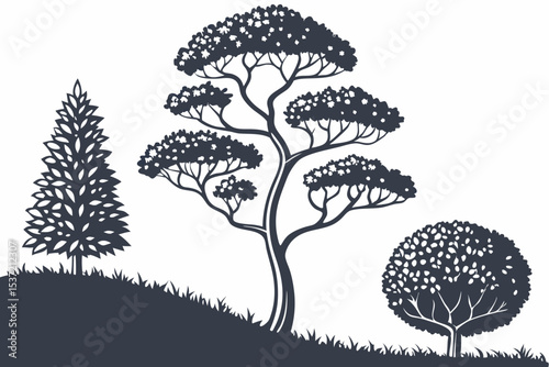 Decorative Garden Trees and Shrubs
