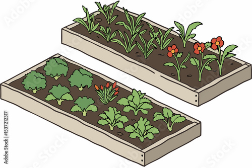 Raised Garden Beds with Vegetables and Flowers
