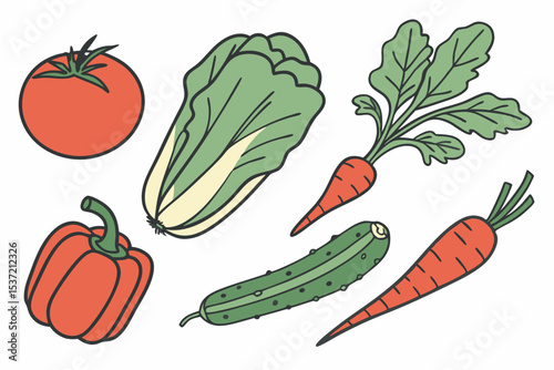 Fresh Garden Vegetables Set
