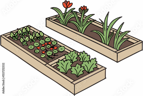 Raised Garden Beds with Vegetables and Flowers
