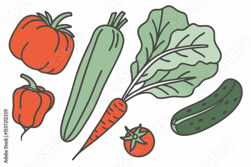 Fresh Garden Vegetables Set
