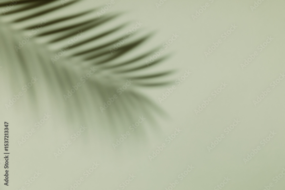 Fototapeta premium Palm leaf shadow on a green wall background. Olive color stylish flat lay with trendy shadow and sun light.