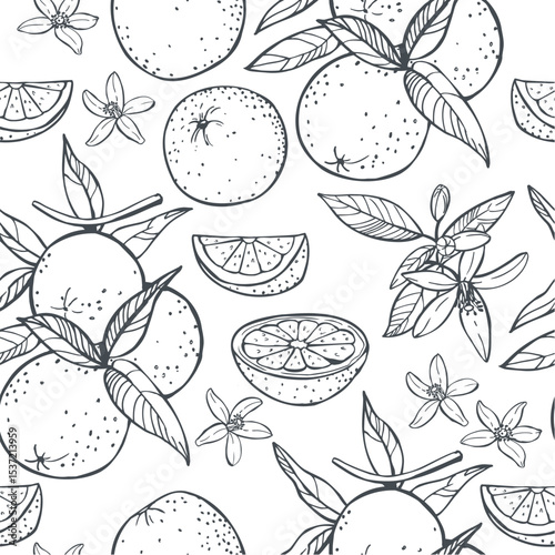 Hand-drawn orange fruits, leaves and flowers. Vector  seamless pattern.