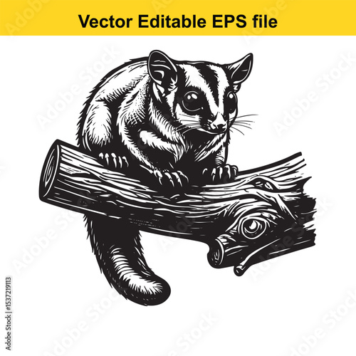 Whimsical Woodcut Illustration of a Sugar Glider Perched on a Branch Black and White Line Art Image of a Wildlife Creature in a Natural Habitat