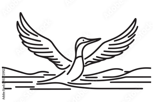 Elegant Loon Waterfowl Bird Spreading Wings Line Art Illustration