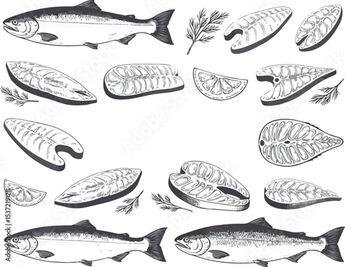 Hand-Drawn Salmon Fish and Steaks with Herbs and Lemon Illustration Set