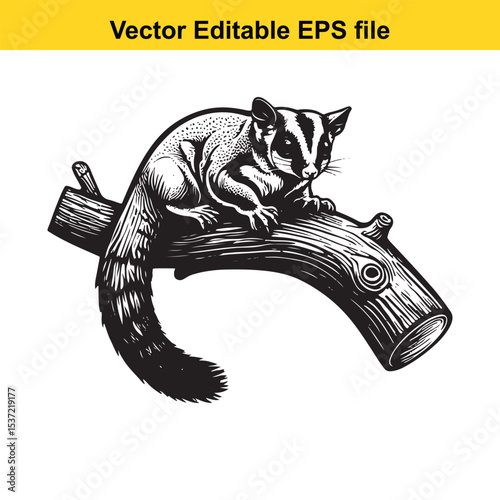 Detailed Black and White Woodcut Illustration of a Sugar Glider Perched on a Branch Depicting Intricate Wood Grain and Fur Textures in a High Contrast Style
