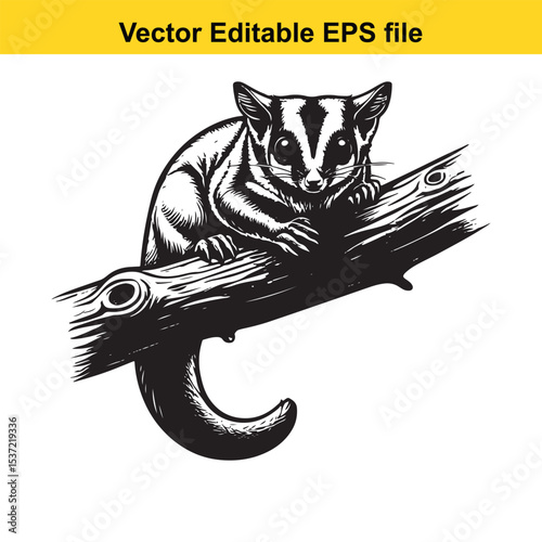 Monochrome Sugar Glider Illustration, a Detailed Engraving of a Cute Australian Marsupial Perched on a Branch, Vector Graphic Design for Nature Enthusiasts and Wildlife Art Collections