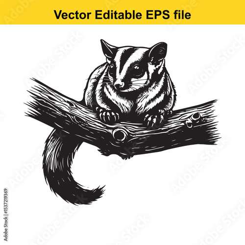 Monochromatic Sugar Glider Portrait Resting on a Branch Detailed Vector Illustration Featuring a Sugar Glider and the Elegance of Black and White Wildlife Art