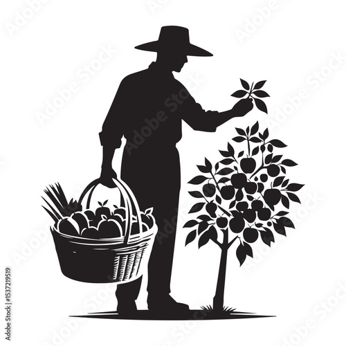 Silhouette Farmer Harvesting Apples Vector Illustration for Orchard Projects
