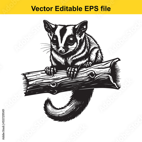 Monochrome Sugar Glider Perched on Branch, Vector Illustration, Adorable Black and White Marsupial Animal Clipart for Nature and Wildlife Projects, Hand Drawn Style