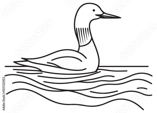 Common loon line art illustration swimming on water surface