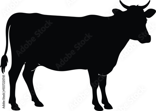 cow silhouette vector