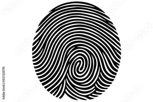 Unique Fingerprint Pattern High-Resolution Black and White Illustration