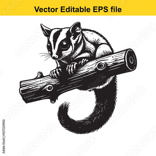 Monochromatic Sugar Glider Illustration A Cute Arboreal Marsupial Perched on a Branch in Detailed Black and White Vector Art