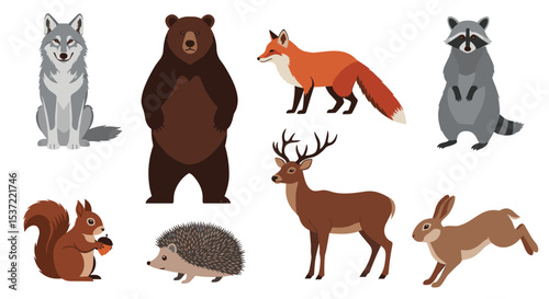 Exploring the Diverse Wildlife of Forests Woodland Creatures Animal Illustrations Collection Nature