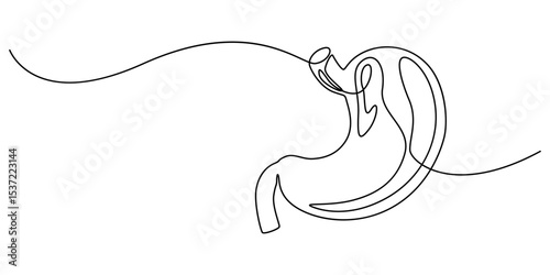 Stomach one continuous line drawing anatomy concept on white background. Single line art stomach minimalism vector illustration, Continuous Line Drawing of Stomach Icon. Hand Drawn Symbol Vector pro.