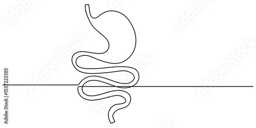 Stomach one continuous line drawing anatomy concept on white background. Single line art stomach minimalism vector illustration, Continuous Line Drawing of Stomach Icon. Hand Drawn Symbol Vector pro.