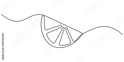 Continuous line, one lemon and half a lemon Simple lines, transparent background, editable strokes, Orange continuous one line drawing. Isolated on white background vector illustration, orange citrus