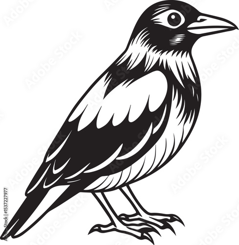 White background vector illustration of a crow or other bird on a branch, perfect for wildlife and nature-themed designs
