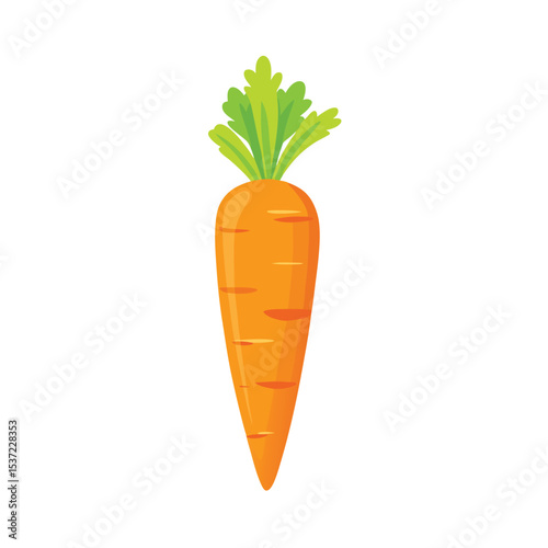 Colorful bright cartoon illustration of a fresh healthy orange carrot vector