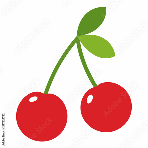 vector illustration of cherries
