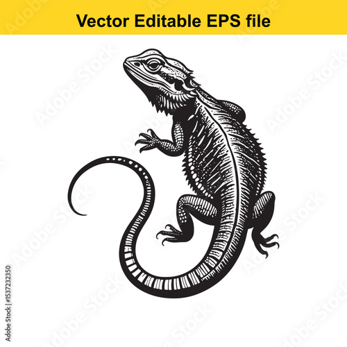 Detailed Monochrome Illustration of a Bearded Dragon Reptile A Striking Vector Art Piece Showcasing Intricate Scales and Textural Details of this Exotic Lizard