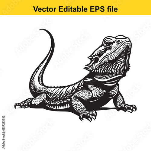 Detailed Black and White Illustration of a Bearded Dragon Reptile with Scaly Skin and a Curled Tail, Emphasizing its Unique Texture and Anatomical Features