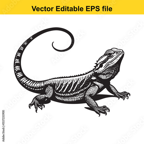 Monochromatic Vector Illustration of a Bearded Dragon with Intricate Details and a Curled Tail in a White Background, Emphasizing Scales and Texture