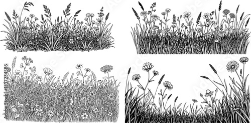 wild grass and flowers in black outline style
