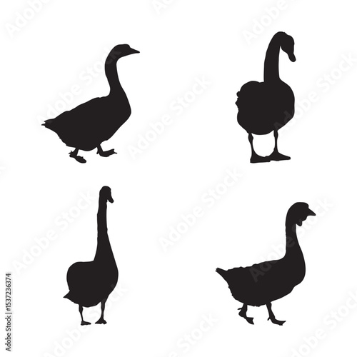 Swan and Duck Silhouette Set Black Vector Illustrations Isolated on White Background