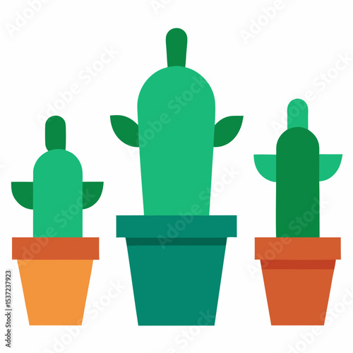 cactus in pots