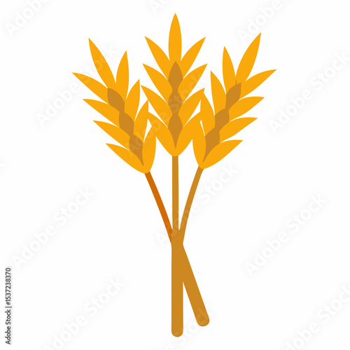 wheat ears isolated on white background