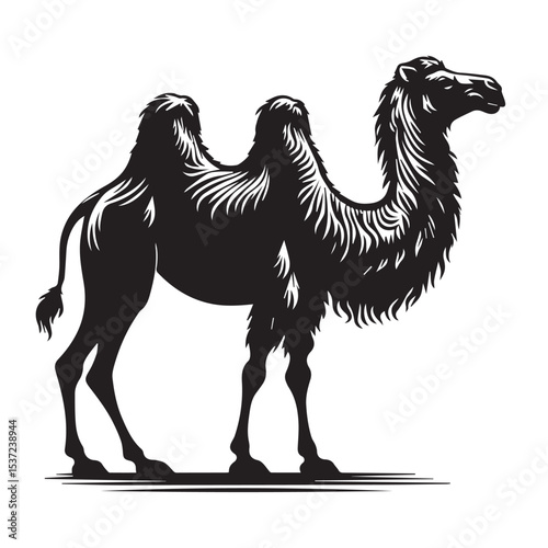 Bactrian camel silhouette illustration