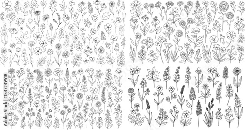 wild plants and wild flowers, large collection of hand drawn flowers in monoline doodle style
