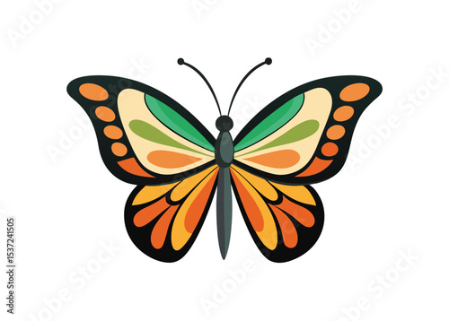 Butterfly set of different, colorful butterflies, vector isolated on white background
