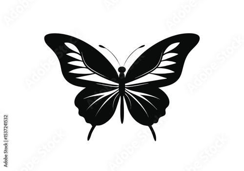 Butterfly set of different, colorful butterflies, vector isolated on white background
