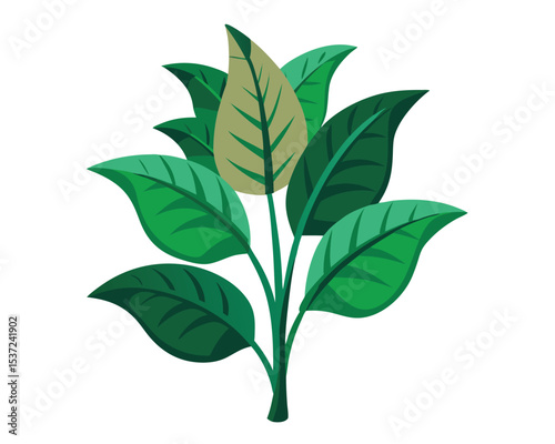 Minimalist Foliage Plant Vector Illustration

