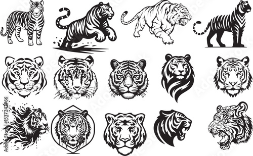 TIGER VECTOR