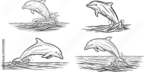 dolphin jumping in ocean in hand drawn outline sketch style
