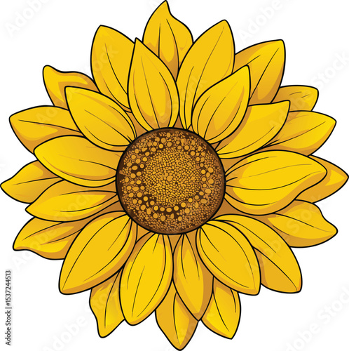 Vibrant detailed sunflower vector illustration of a bright yellow flower with brown center