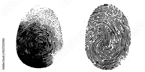 Black vector fingerprint on white for security, identity, and forensic illustration