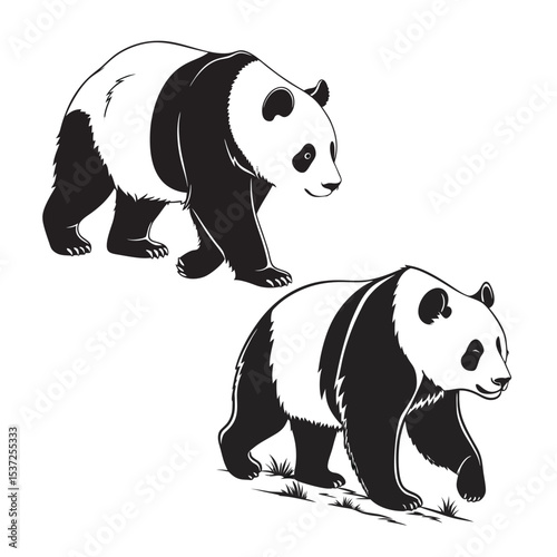Walking Panda Bear Illustrations: Black & White Wildlife Vector Art